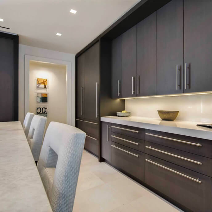 Sleek contemporary custom cabinets in luxury kitchen